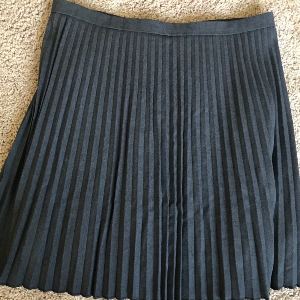 LOFT Pleated Skirt